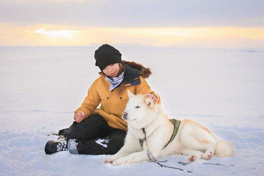 A person sitting on the snow with a dog. 4
