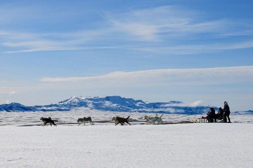 A snowy landscape with a group of sled dogs and a person leading them. 2