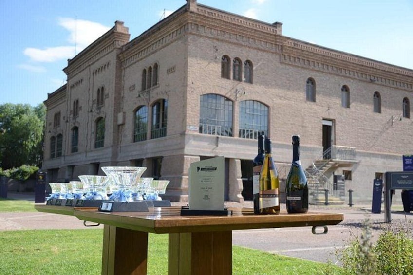 Private Tour to the Trapiche Winery from Mendoza 1