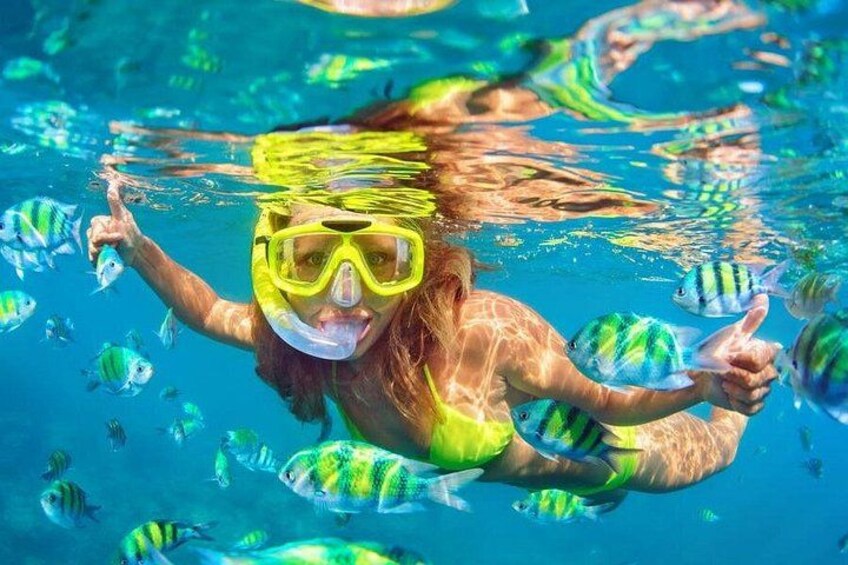 Una persona fa snorkeling sott'acqua con pesci tropicali. 3