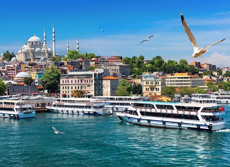 Picture 32 for Activity Istanbul: Bosphorus Sightseeing Cruise Tour with Audio Guide 2