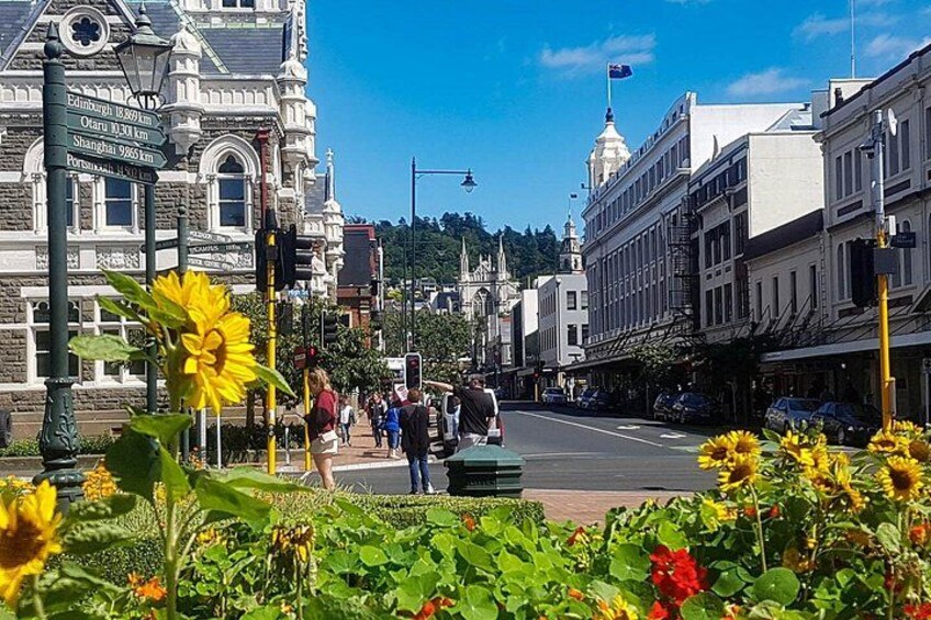 A street with pedestrians, a building with a clock, and a flower bed with sunflowers. 2