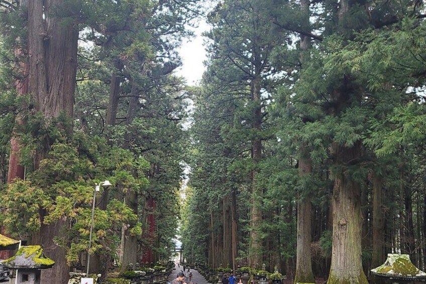 Mount Fuji/Hakone private car tour with English Driver/Guide 4