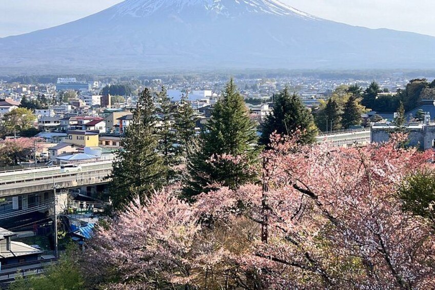 Mount Fuji/Hakone private car tour with English Driver/Guide 2