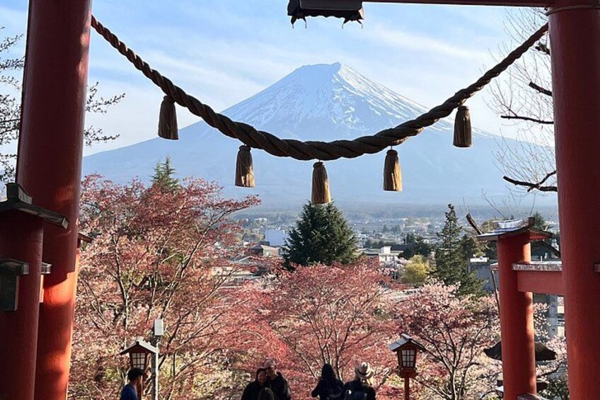 Mount Fuji/Hakone private car tour with English Driver/Guide 3
