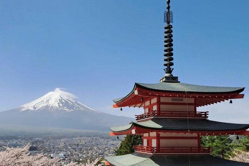 Mount Fuji/Hakone private car tour with English Driver/Guide 1
