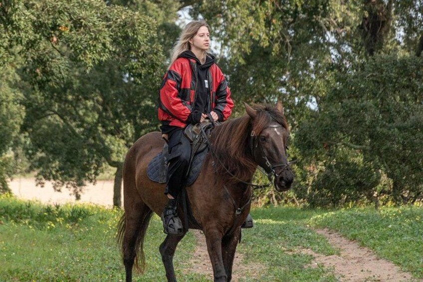A person riding a horse on a dirt path surrounded by greenery. 4