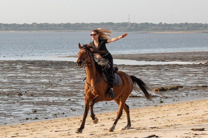 A person riding a horse along a beach with water in the background. 1