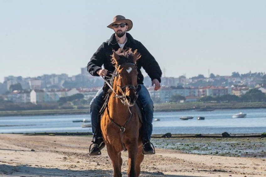 A person riding a horse on a sandy beach with a cityscape in the background. 5