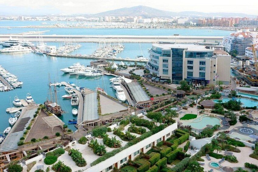 Gibraltar and Dolphin Watching Excursion from Malaga 4