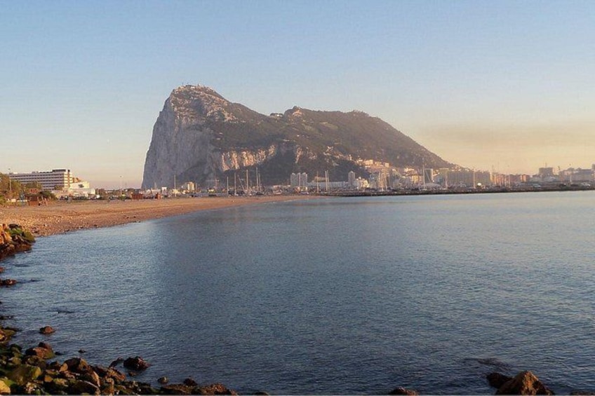 Gibraltar and Dolphin Watching Excursion from Malaga 3