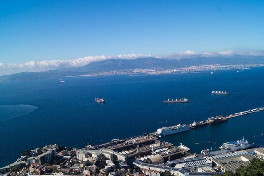 Gibraltar and Dolphin Watching Excursion from Malaga 5