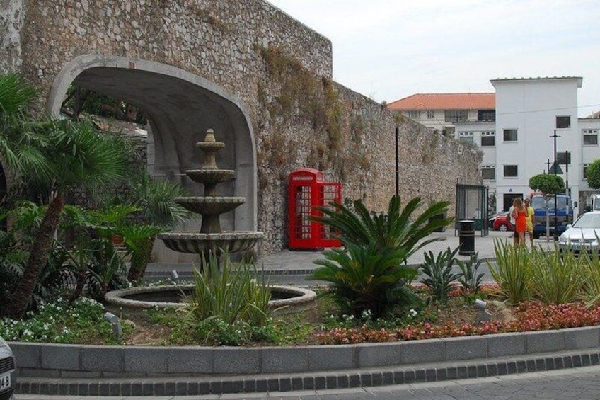 Gibraltar and Dolphin Watching Excursion from Malaga 2