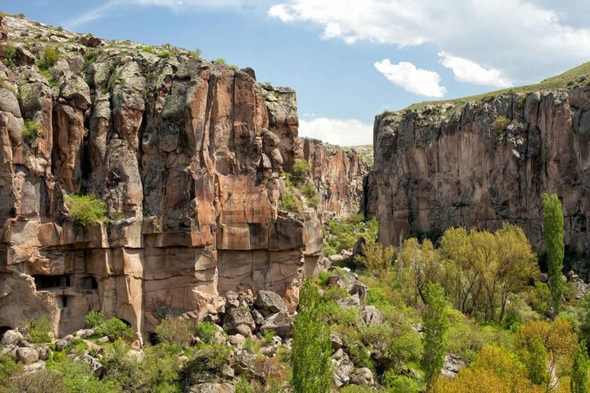 A rocky canyon with steep cliffs and sparse vegetation. 1