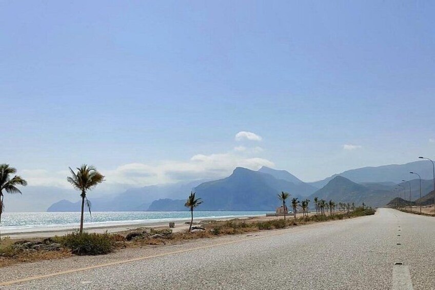 A coastal road with palm trees, a clear sky, and distant mountains. 1