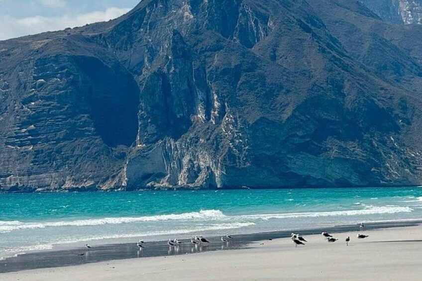 A beach with birds, a mountain, and turquoise water. 2