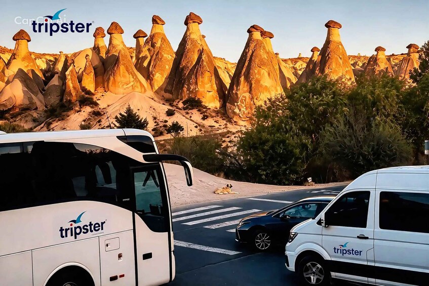 A white bus and a white van with the Tripster logo, parked on a road with a desert landscape and distinctive mushroom rock formations in the background. 3
