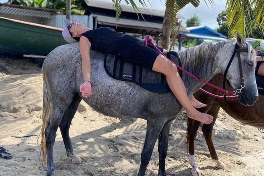 2 hour Beach Ride Horseback Experience with Dore's Riding Stable 5