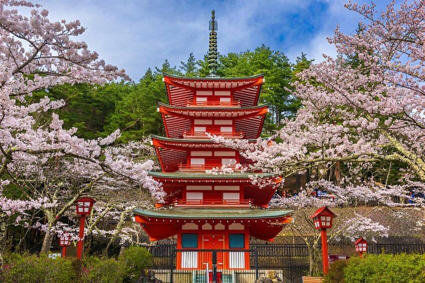 Arakurayama Sengen Park 3