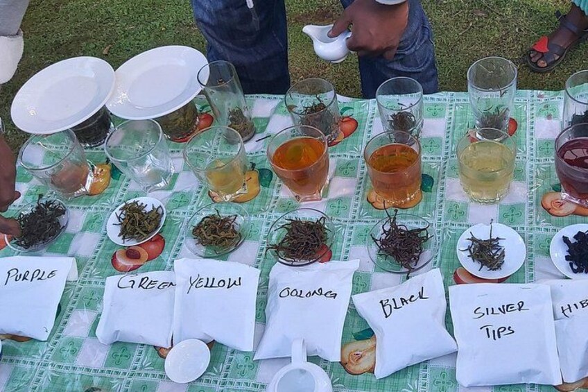 Special Teas Brewing 3