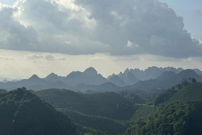 Qixianfeng Tea Plantation Tour in Yangshuo 5
