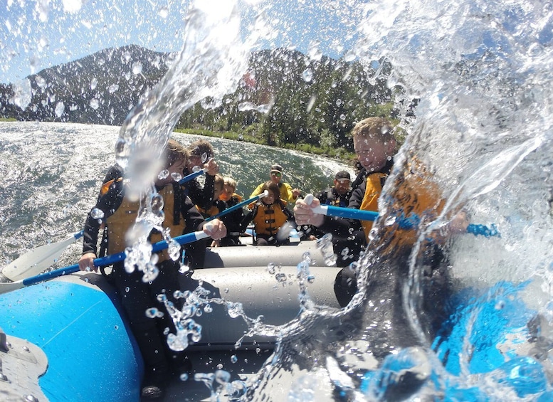 Picture 3 for Activity Jackson: 4-Hour Small Boat Snake River Whitewater Rafting
