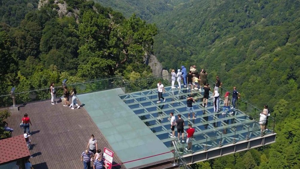 Picture 2 for Activity From Istanbul: Sapanca and Masukiye Day Trip with Lunch 3