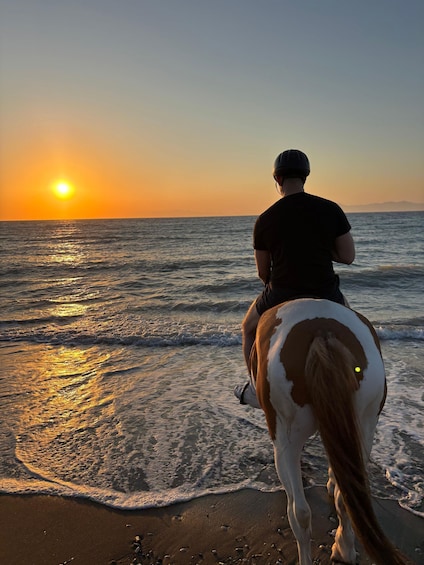Picture 11 for Activity Rhodes: Seaside Horseback Riding Experience 2