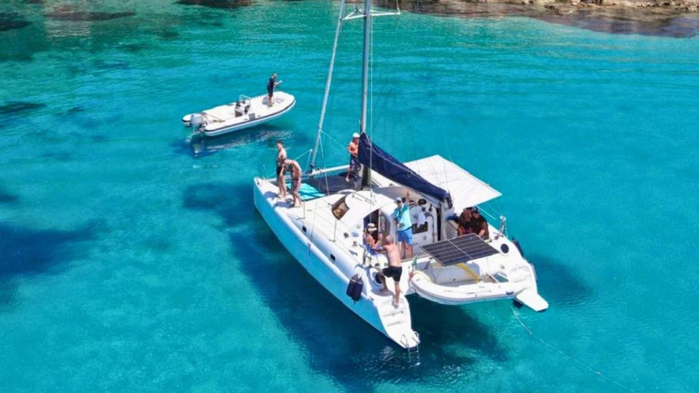 Picture 10 for Activity From Olbia: Tavolara or Cala Moresca Catamaran Tour 3