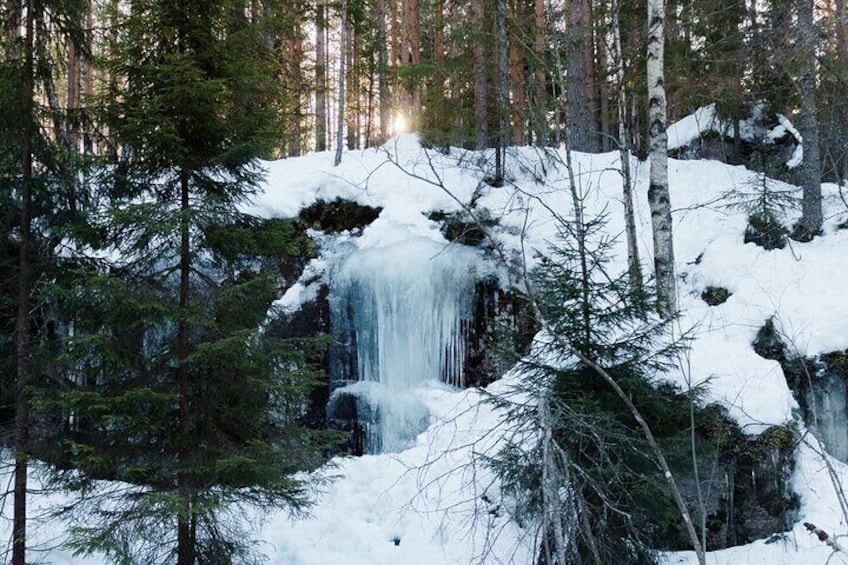 A snow-covered waterfall in a forest. 5