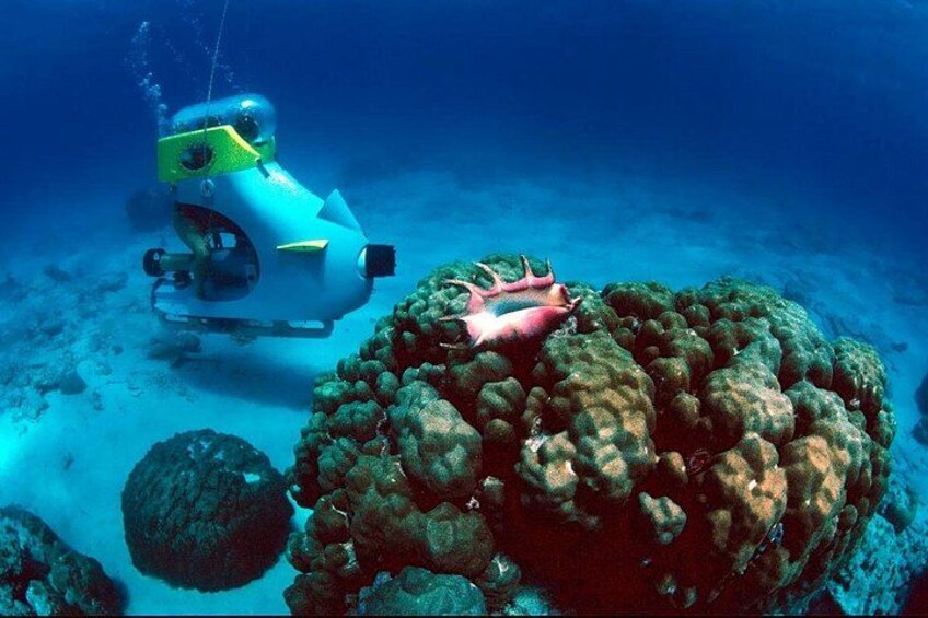 Scena subacquea con un veicolo robotico e una barriera corallina. 1