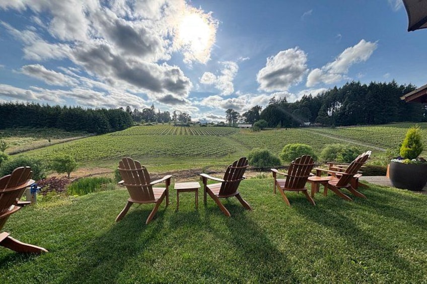 Un espacio al aire libre con césped, sillas Adirondack y una mesa, con vistas a un viñedo. 3