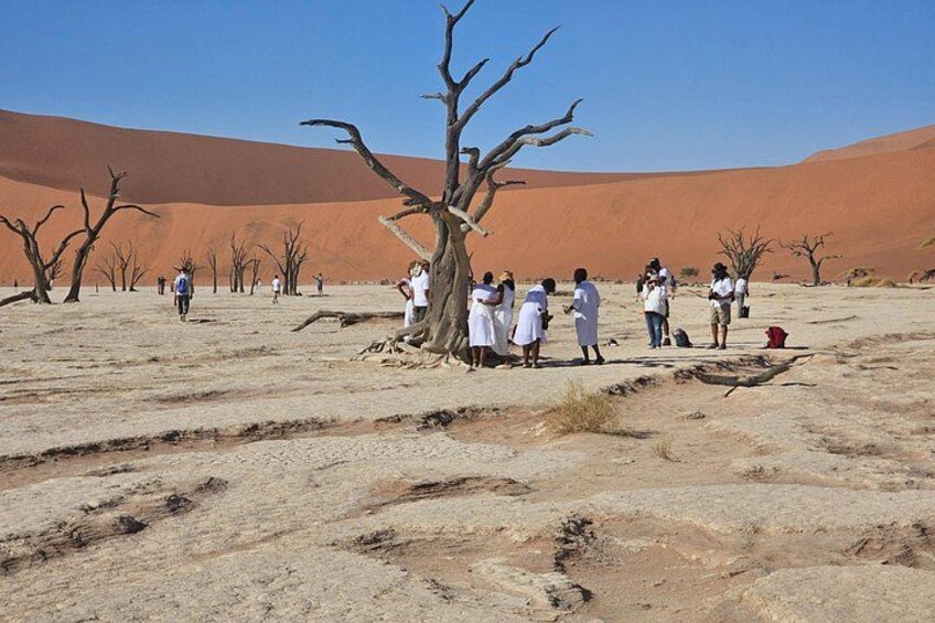 From Johannesburg: 6 Days Namibia Tour 1