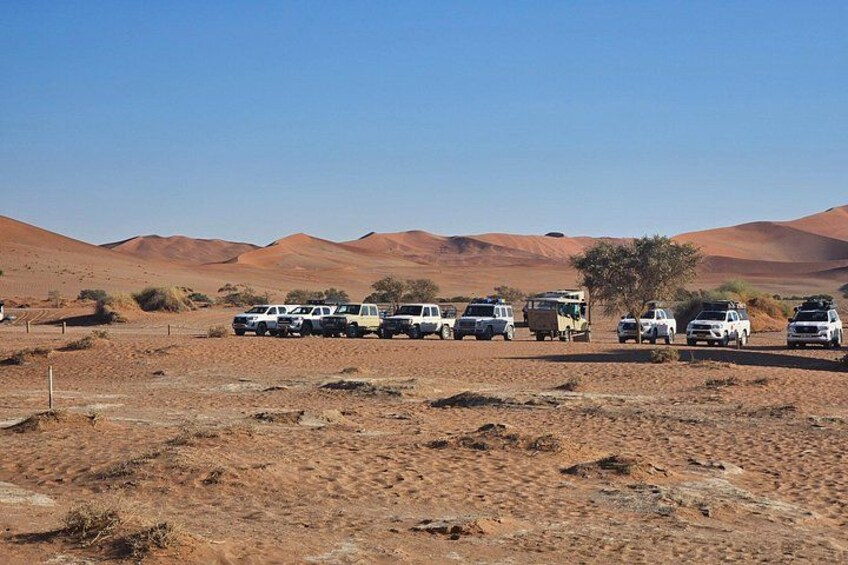 From Johannesburg: 6 Days Namibia Tour 4