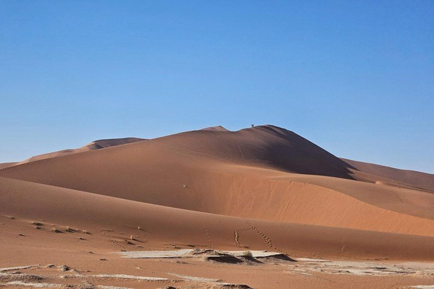 From Johannesburg: 6 Days Namibia Tour 2