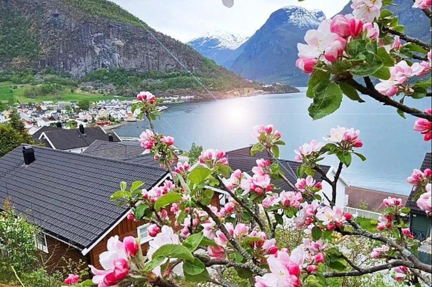 Un pueblo costero con casas, flores en flor y montañas al fondo. 3