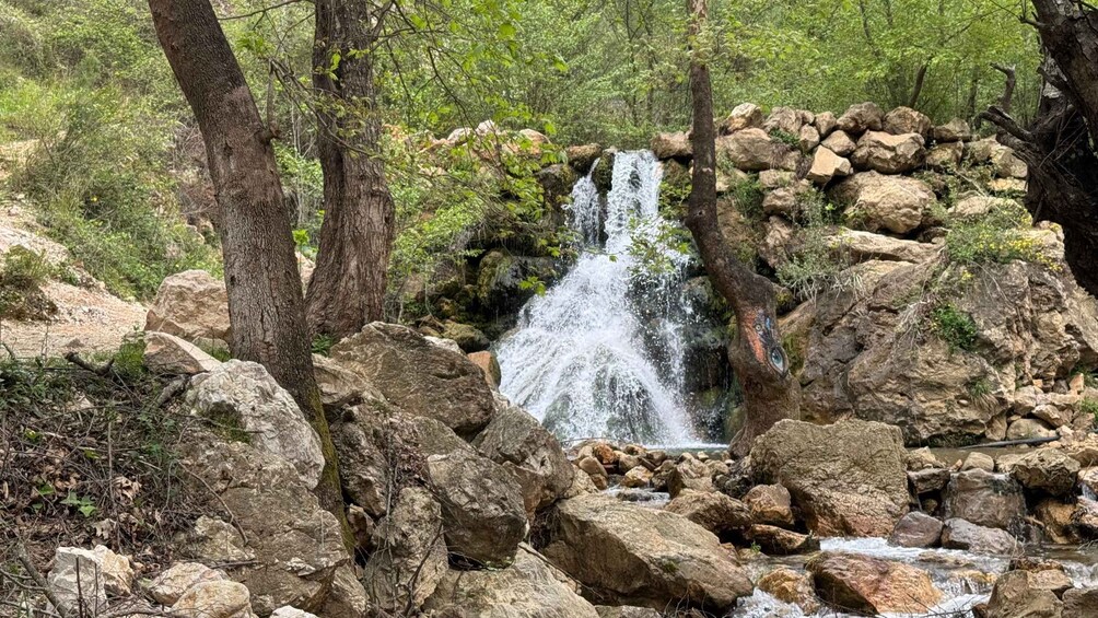 A waterfall in a forested area with rocks and trees. 2