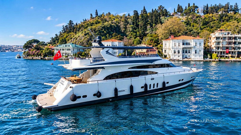 Picture 40 for Activity Istanbul Bosphorus Yacht Cruise with Asian Side Stopover 4
