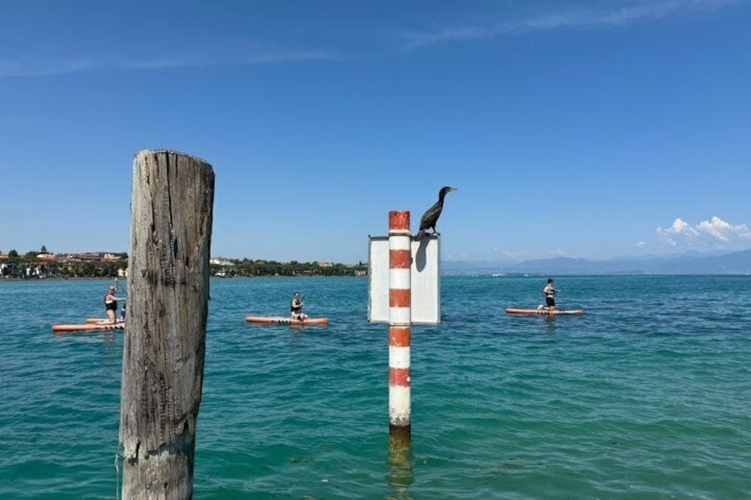 Sup experience with a ride to Peschiera del Garda Lake Garda 2