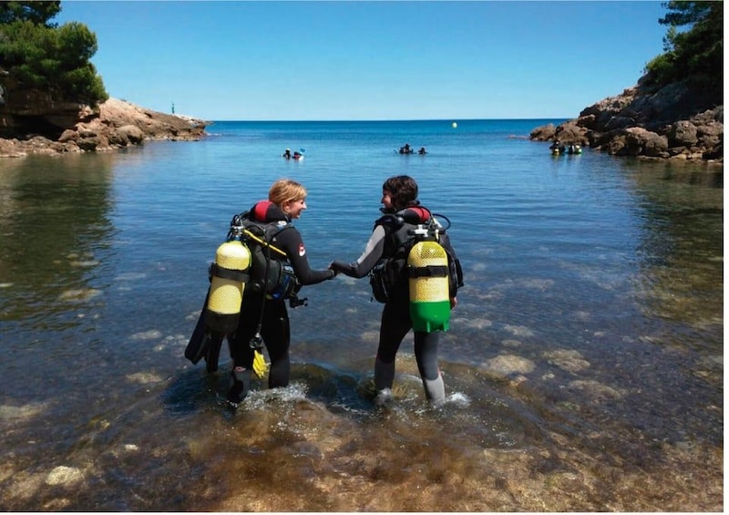 Two people in scuba gear holding hands in shallow water with a rocky shoreline and a clear blue sky in the background. 1