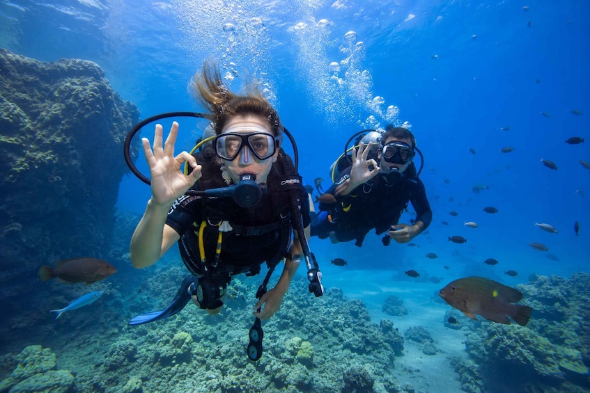 Antalya/Kemer: Scuba Diving with Pickup, Lunch, and 2 Dives 1