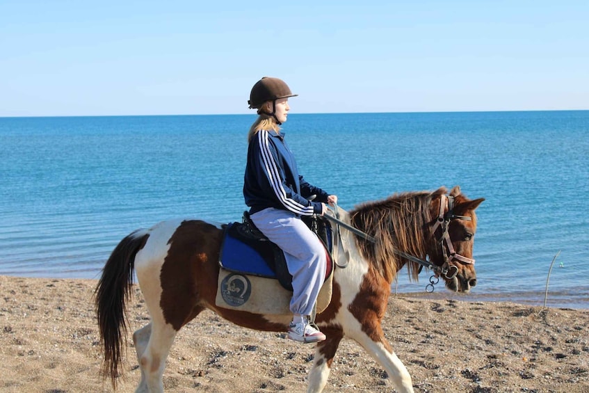 A person riding a horse along a beach with the ocean in the background. 2