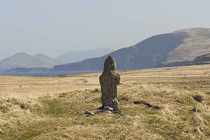 A solitary rock formation in a grassy field with mountains in the background. 5