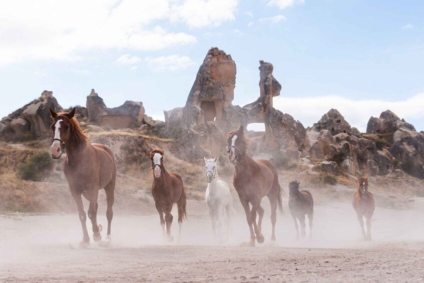 Un grupo de caballos corre a través de un paisaje desértico con formaciones rocosas al fondo. 3