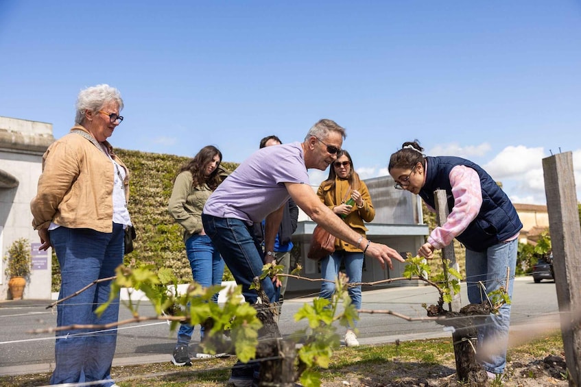 Picture 5 for Activity Médoc Wine Tour - Afternoon Visit, 2 Wineries & Tastings 4