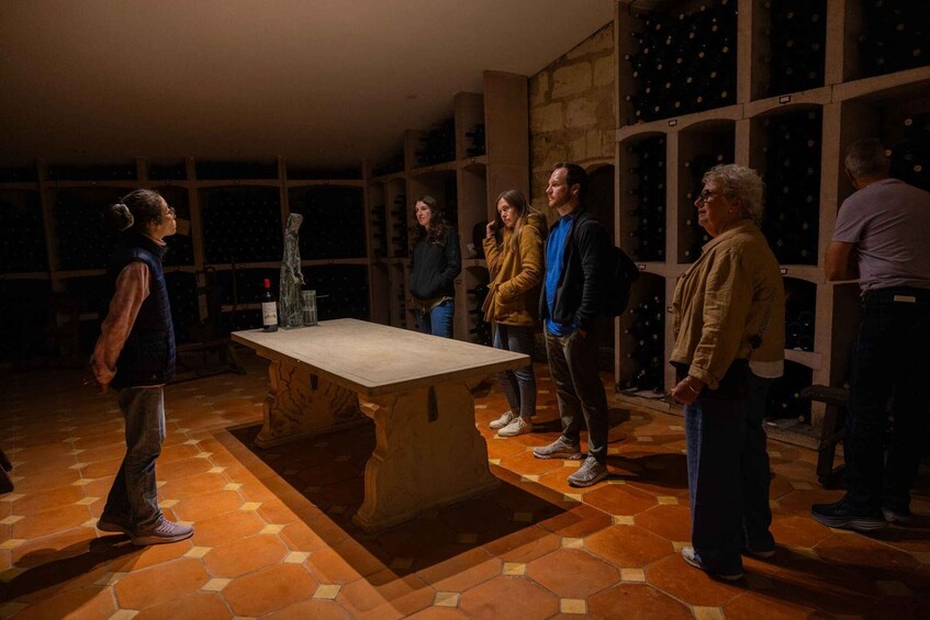 Picture 5 for Activity Médoc Afternoon Wine Tour,Margaux Châteaux & French Aperitif 5