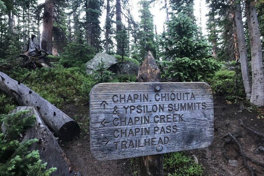 Señalización de senderos en zona boscosa con indicaciones hacia Chapin, Chiquita, Ypsilion Summits, Chapin Creek, Chapin Pass y el inicio del sendero. 2