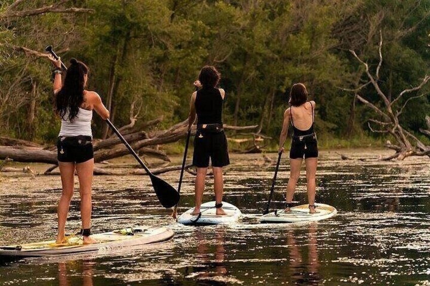 Group Intro to SUP in Toronto Island, Canada 2