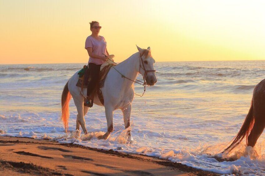 A person riding a white horse on a beach at sunset. 5