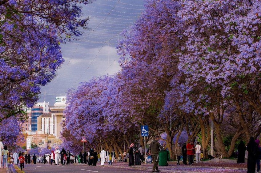 A tree-lined street with people walking, a building in the background, and a blue sign. 4